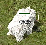 %0U9P7Y05)N@3SL3S[)B6JG.jpg %0U9P7Y05)N@3SL3S[)B6JG.jpg